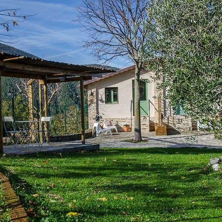 Serra San Quirico Le Voltarelle Bed & Breakfast B&B 외부 사진